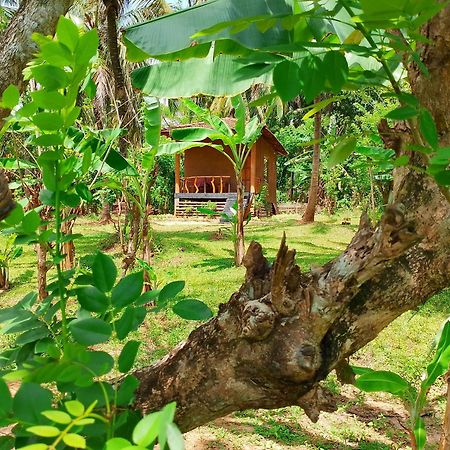 Milk House Cottage Удавалаве Екстер'єр фото