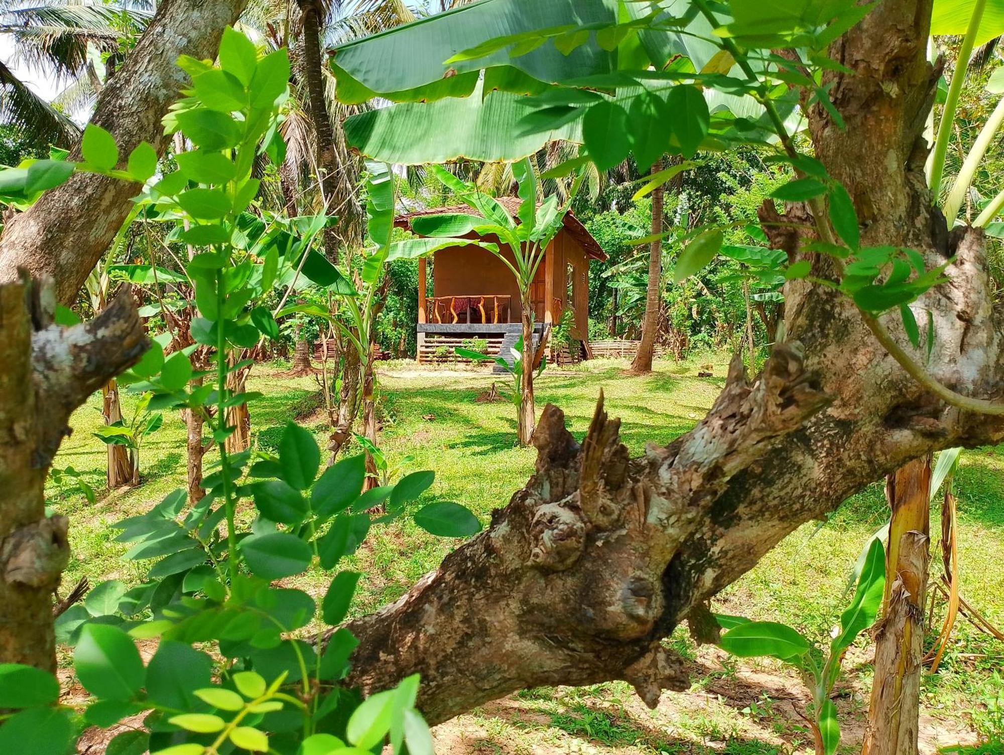 Milk House Cottage Удавалаве Екстер'єр фото