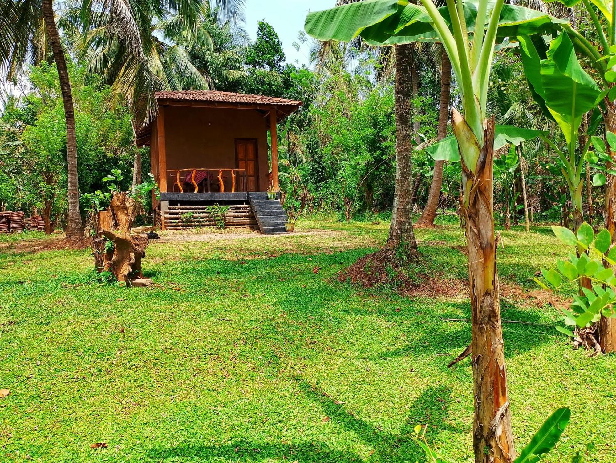 Milk House Cottage Удавалаве Екстер'єр фото